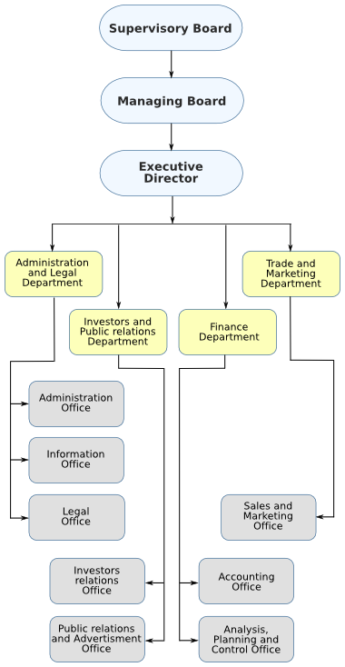 Synergon Holding managing structure